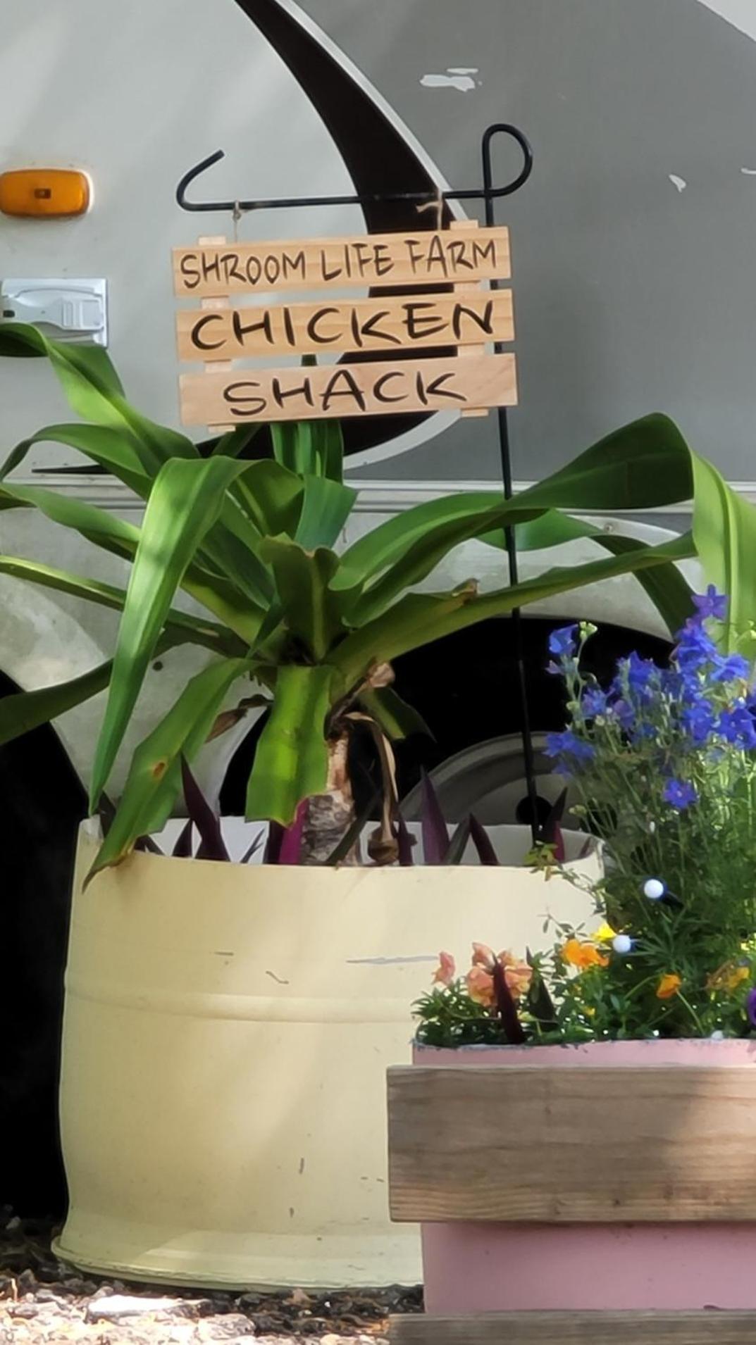 Shroom Life Farm Chicken Shack North Fort Myers Esterno foto